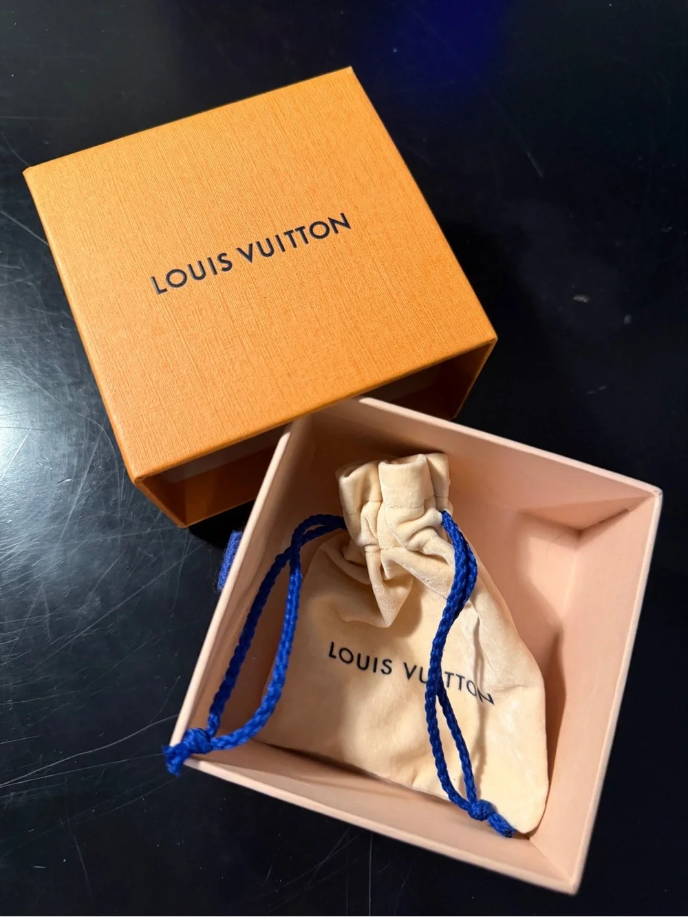 Louis Vuitton designer louis